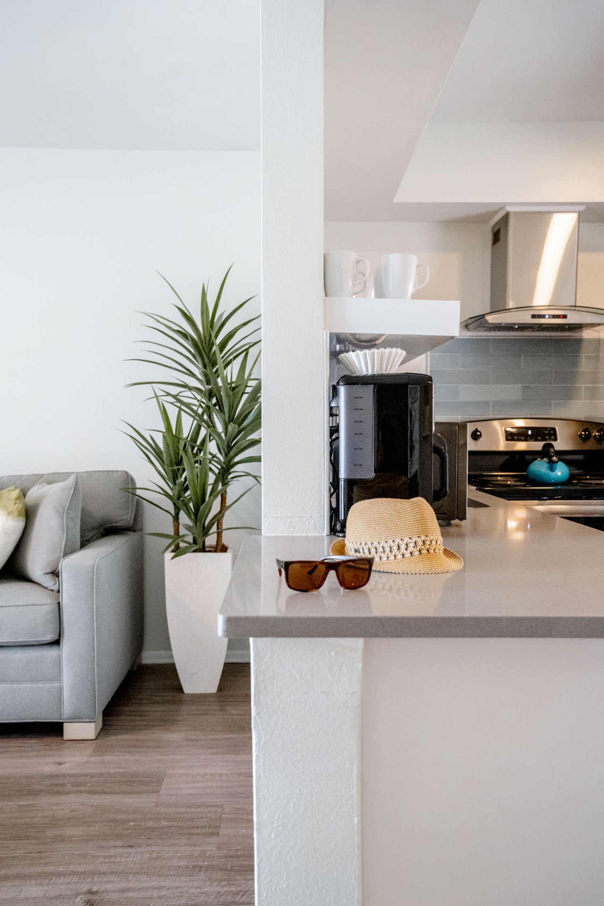 公寓 | 1 間睡房