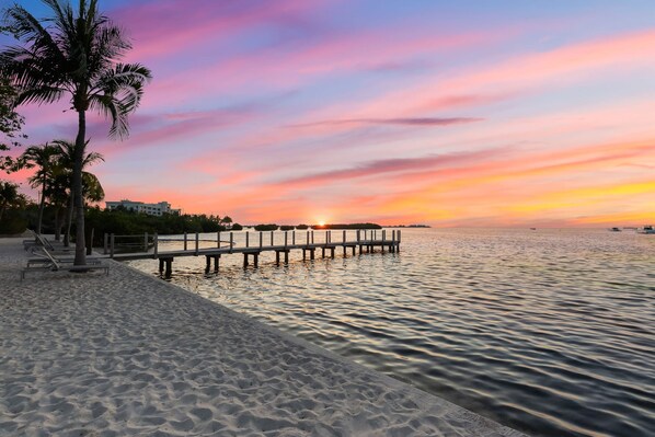 Appartement | 1 chambre