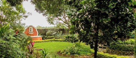 Un jardín exuberante con un sendero de piedra, un pequeño edificio rojo y diversas plantas.