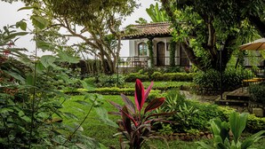 A lush garden with a variety of plants and a building with a tiled roof. - Hotel Las Marias (Taxisco)