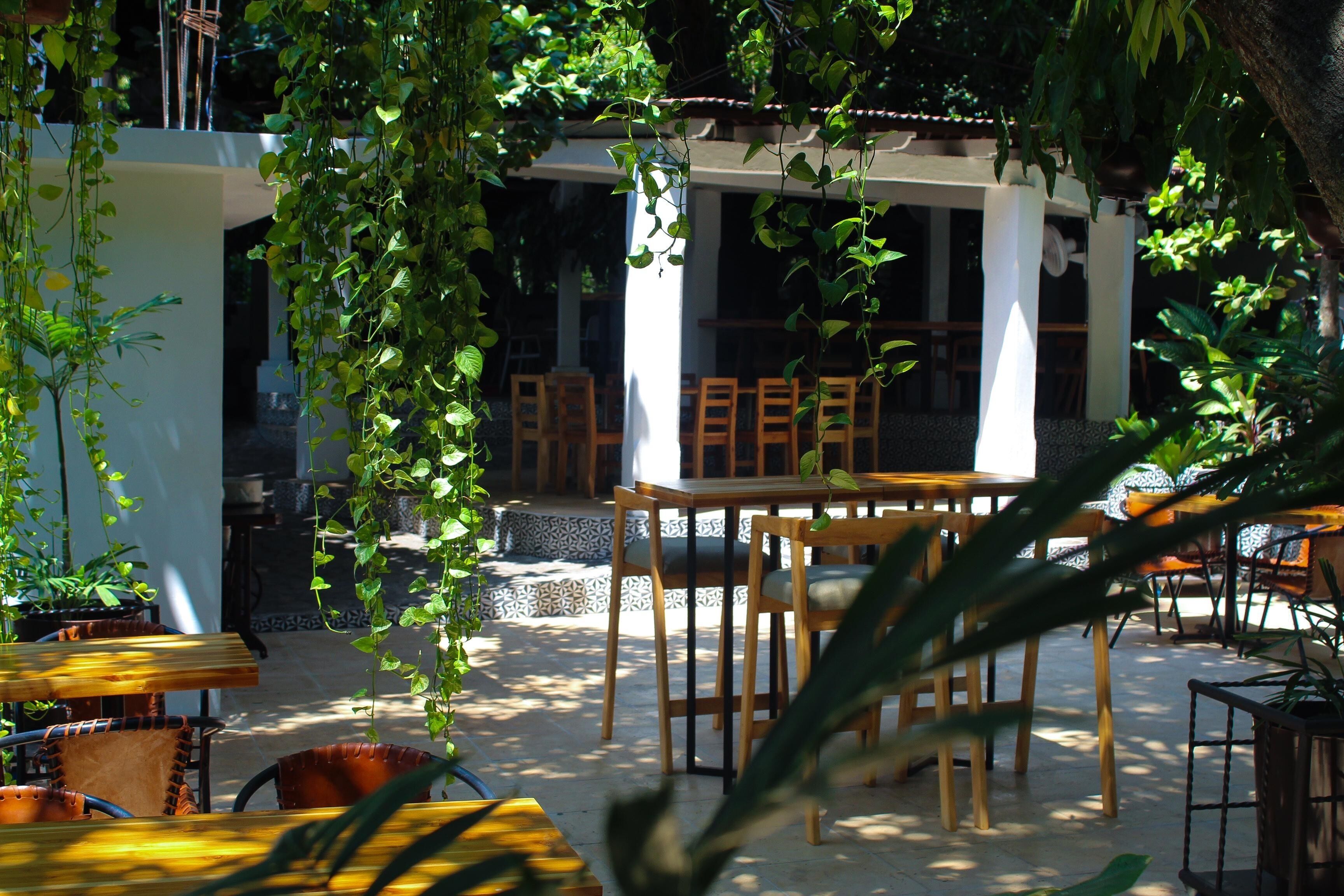 Un área de patio al aire libre con mesas y sillas de madera, rodeada de plantas en macetas y enredaderas colgantes.