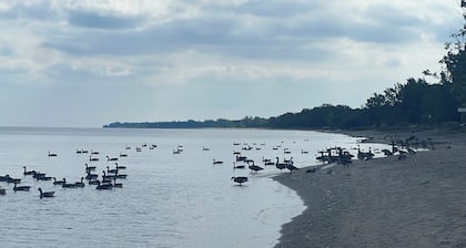 Winter Rental; Birders' Joy ; Lake Erie Beach Front; Walkers beach; 3 BR/2 Bath