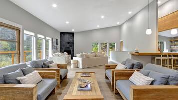 Smart TV, chimenea, reproductor de DVD y libros