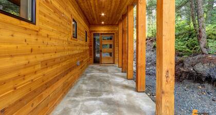 Luxury brand new 4 Bed 5 Bath modern comtempary home
