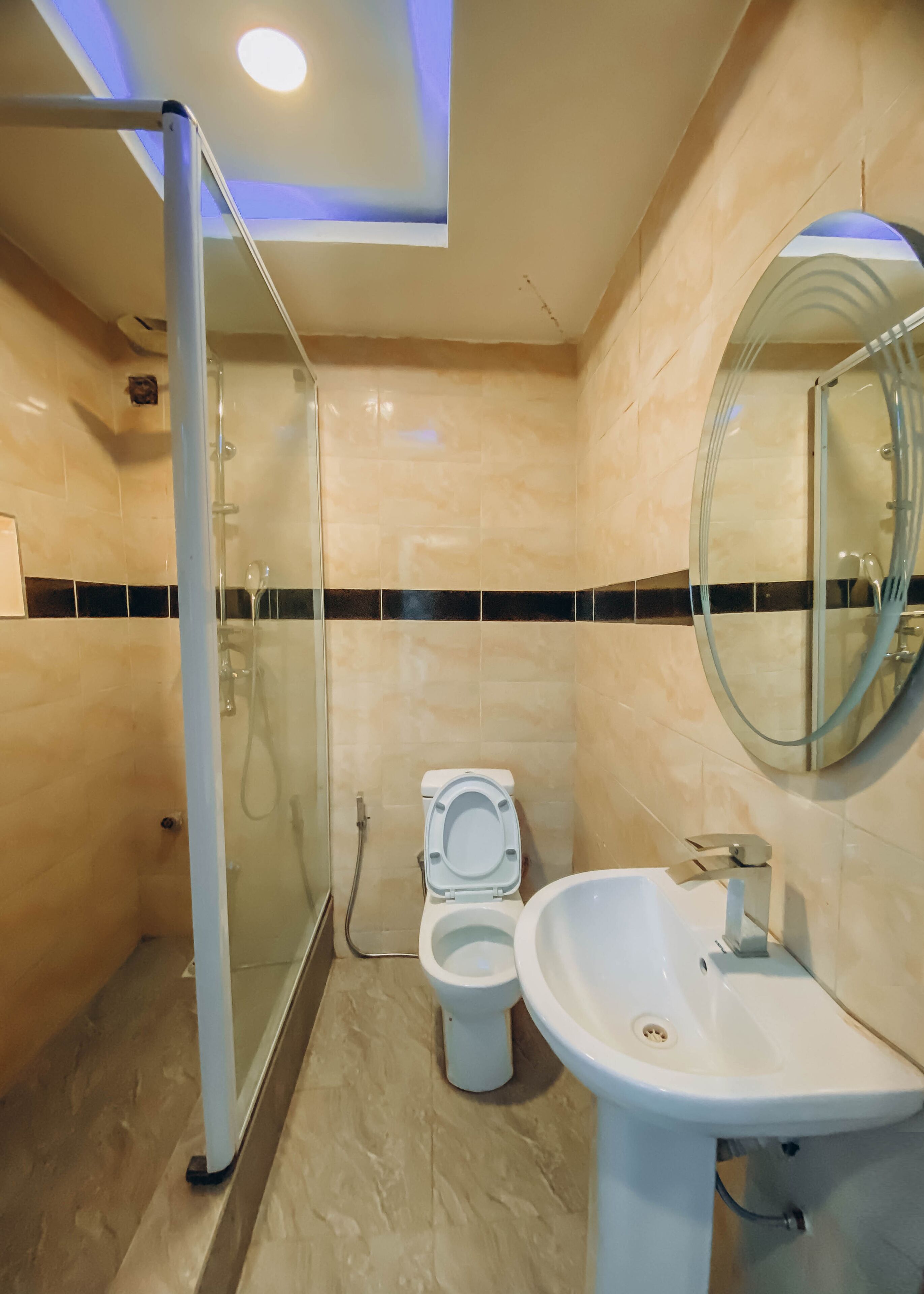 A modern bathroom with a glass shower enclosure, a toilet, and a sink with a mirror.