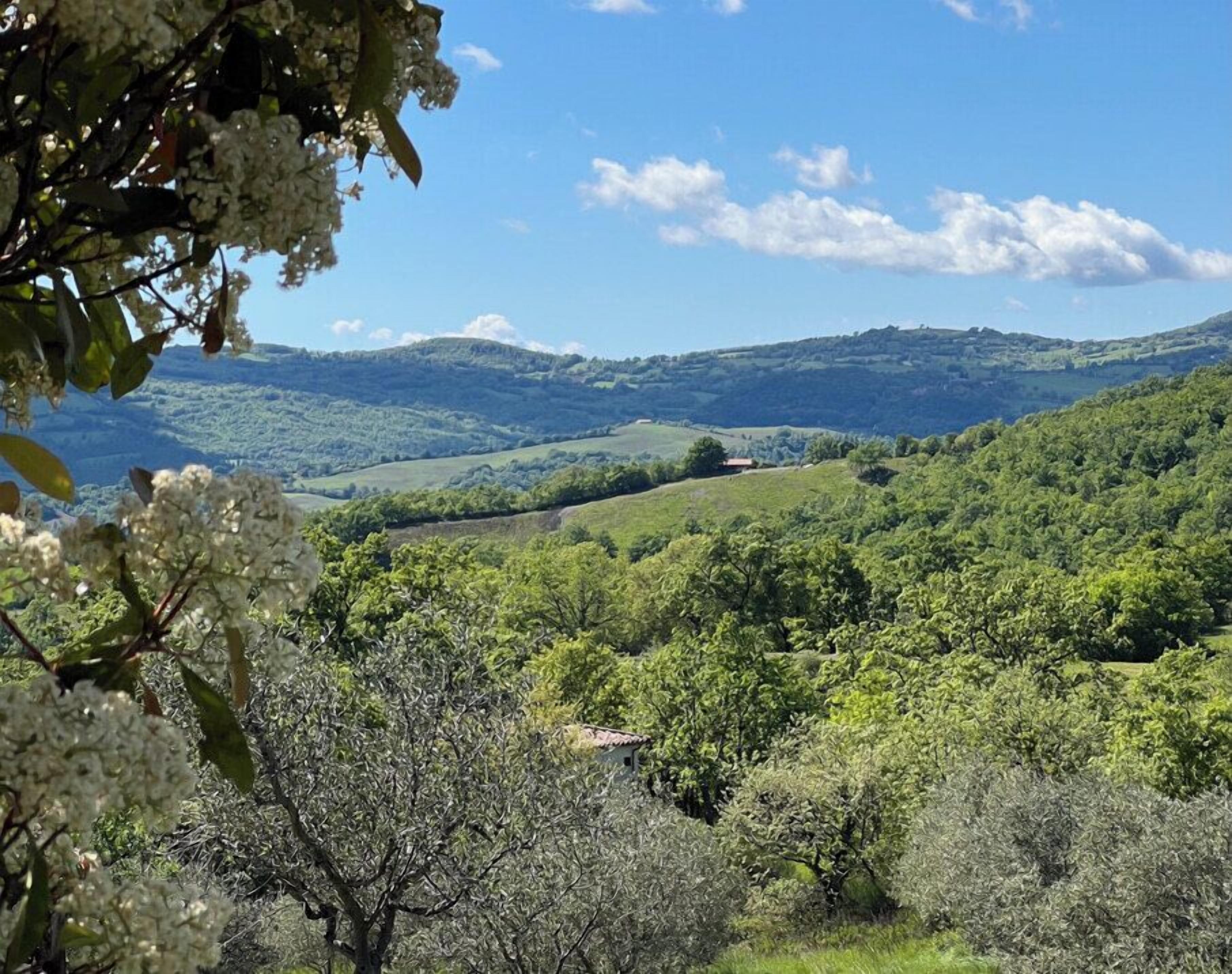 A landscape with rolling hills, dense greenery, and a clear sky.