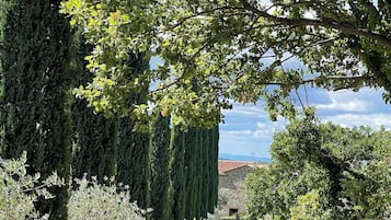 Facciata della struttura