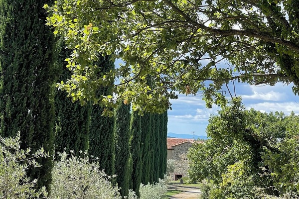 Vista frontal de la propiedad
