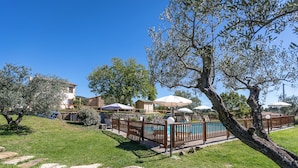 A poolside area with umbrellas, a wooden fence, and a stone pathway.