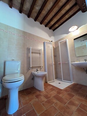 Ducha, secador de pelo, toallas, jabón