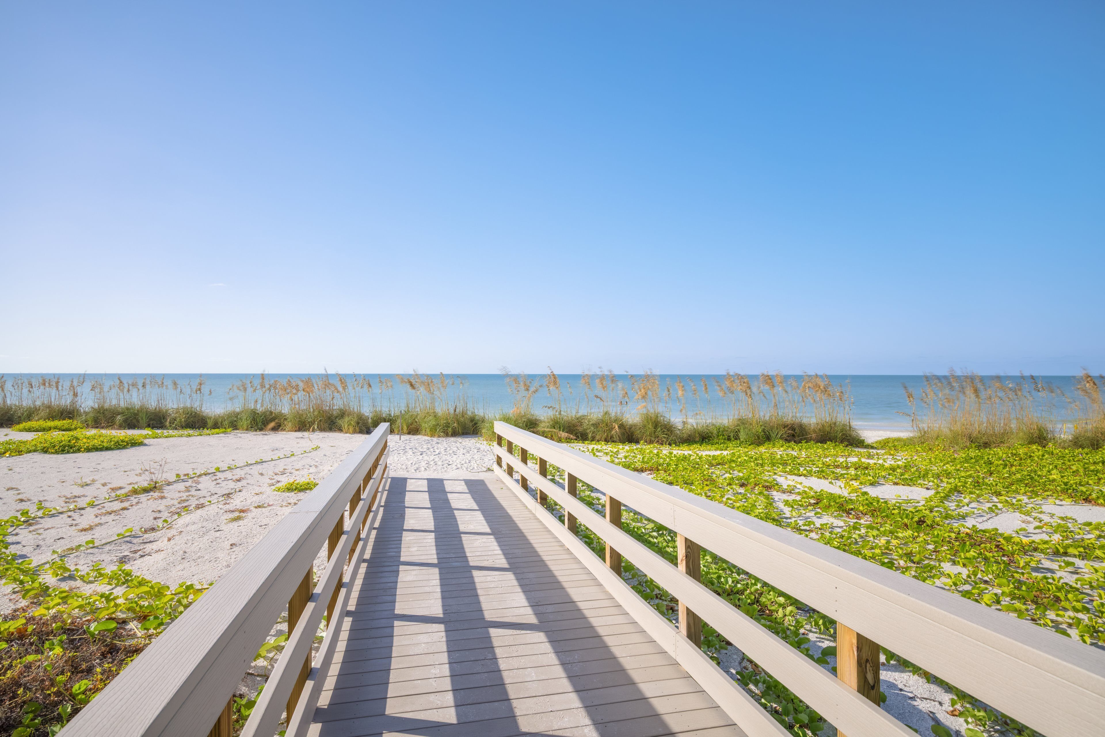 A wooden boardwalk leading to a beach with sand and sea grass.