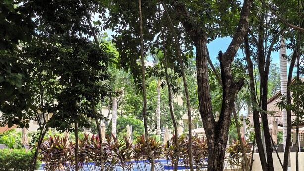 A pool area with a clear view of the water, surrounded by lush greenery and trees. - 2be 2ba, Playa del Carmen. Ground floor. Free early check in and late check out. (Playa del Carmen)