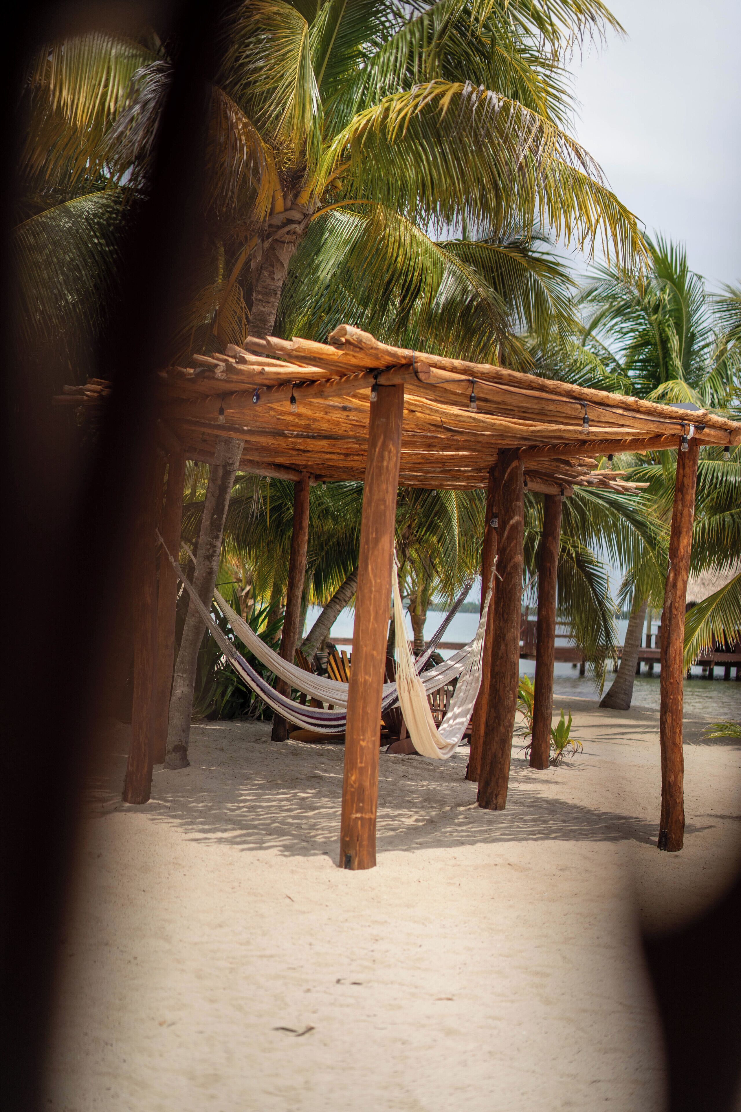 A beach scene with a wooden hammock and palm trees.