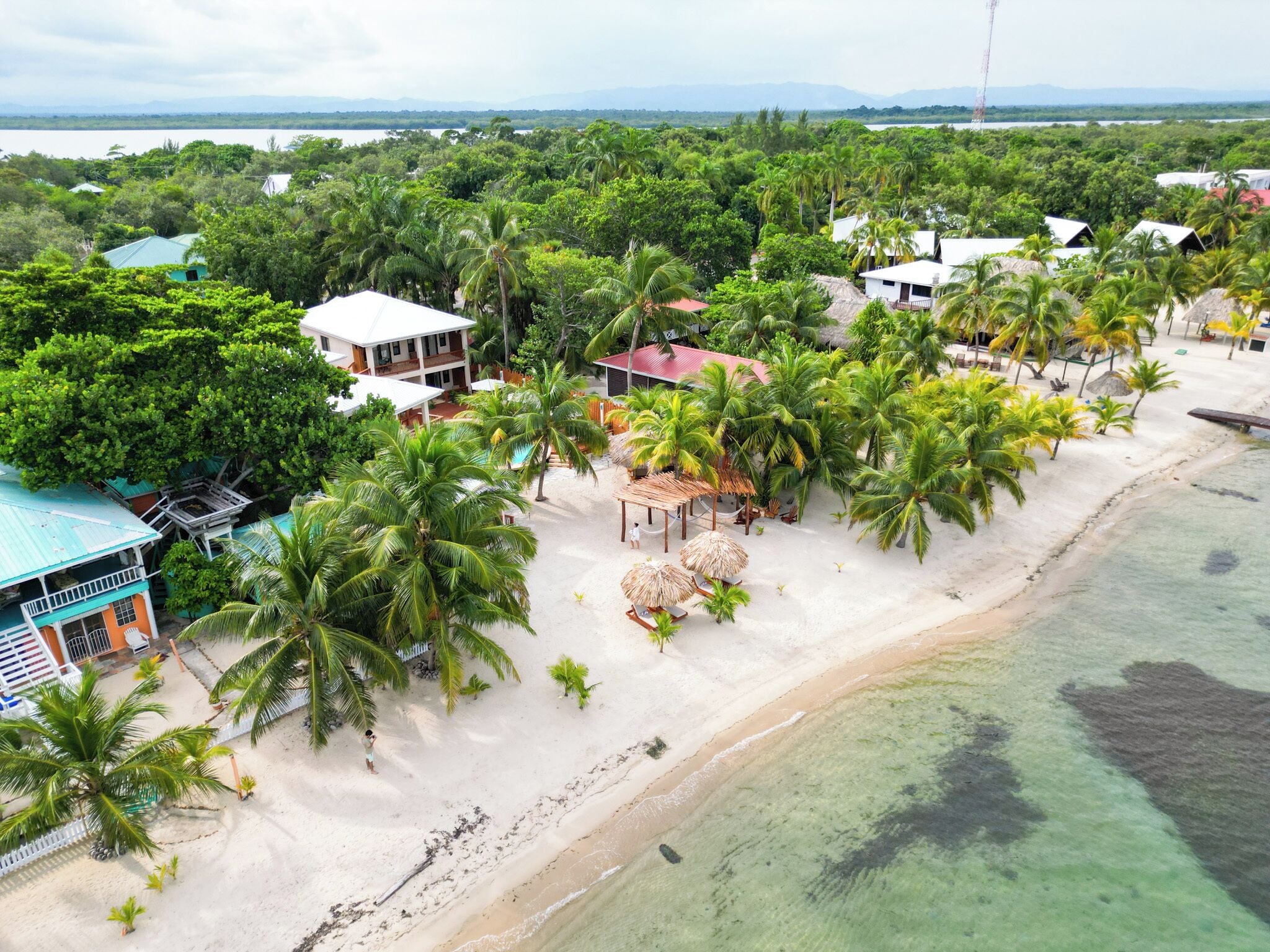 A beach resort with multiple bungalow-style buildings, palm trees, and a clear view of the ocean.