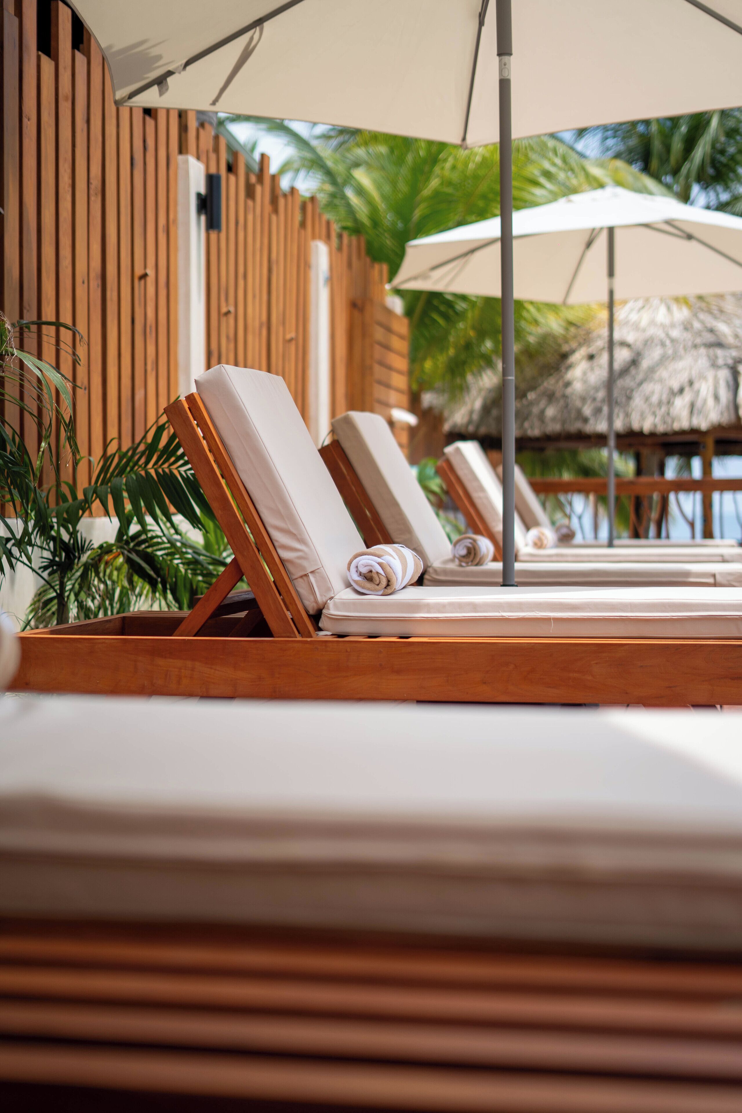 A row of wooden lounge chairs with white cushions and towels, positioned under a large umbrella, with a wooden fence and tropical plants in the background.