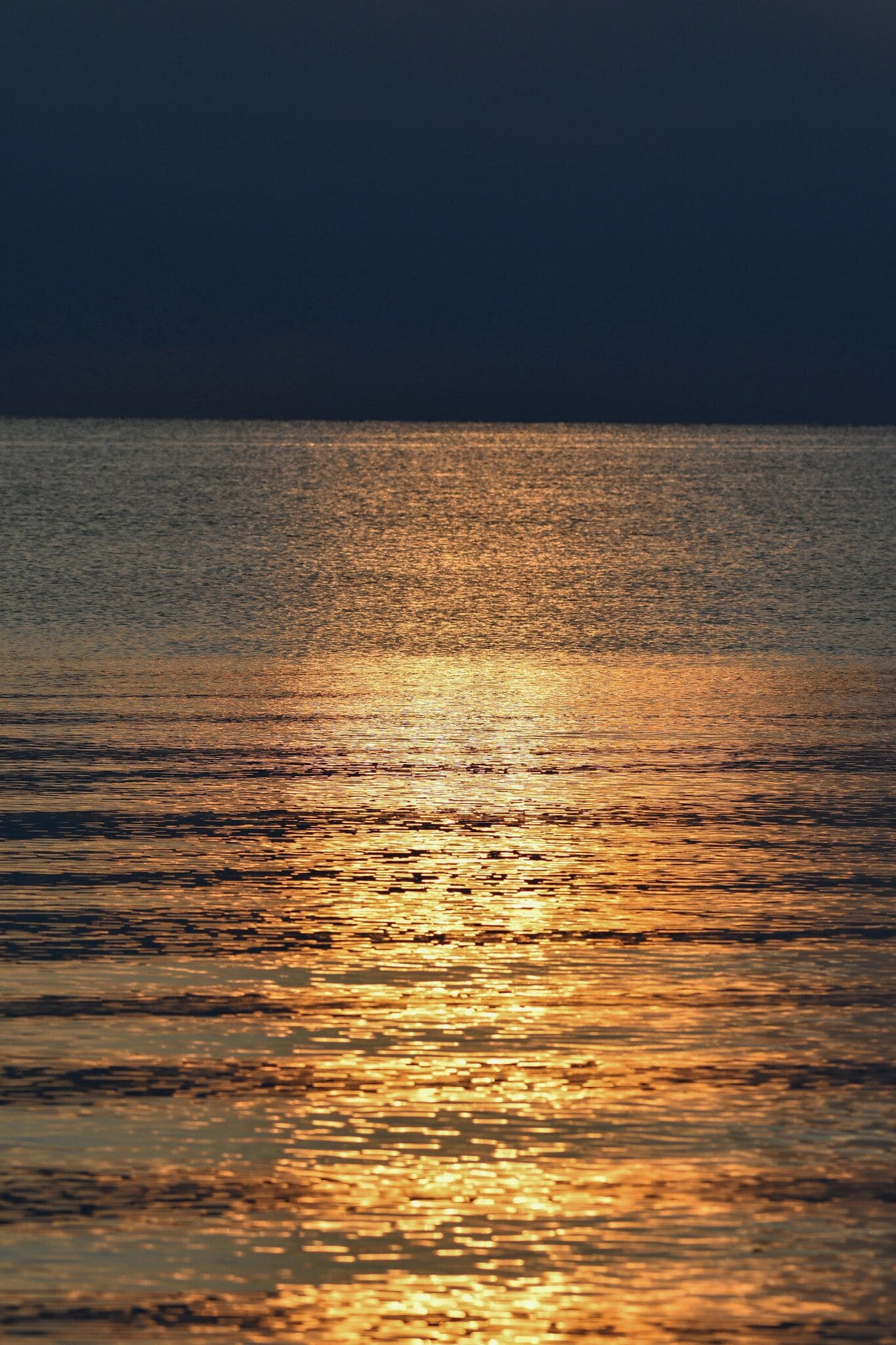 Una superficie acuática tranquila reflejando la luz del sol.