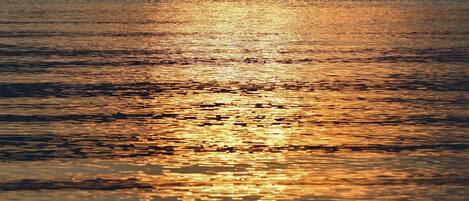 Una superficie acuática tranquila reflejando la luz del sol.