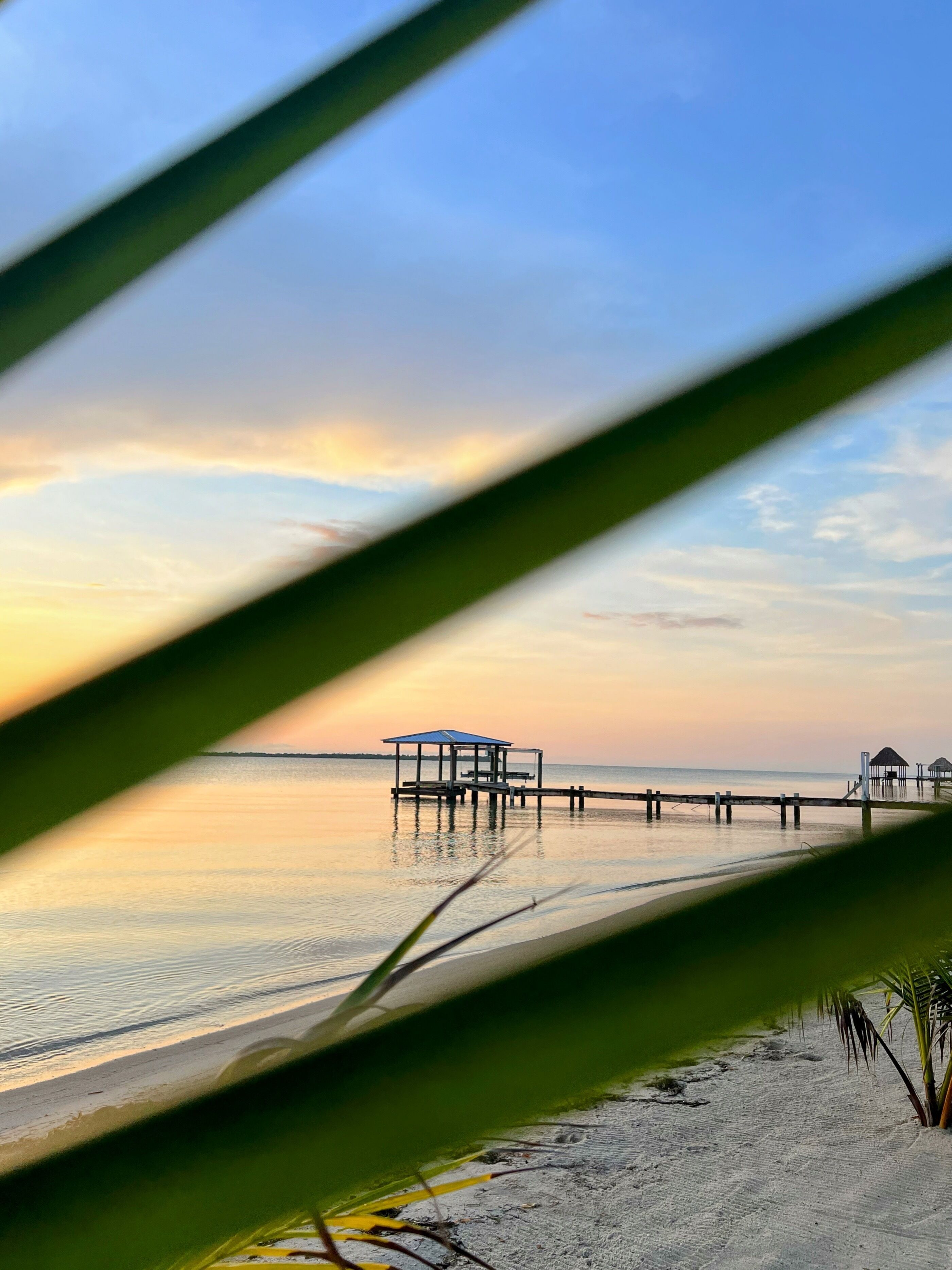 A beach with a wooden pier extending into calm waters, a small shelter, and a clear sky.
