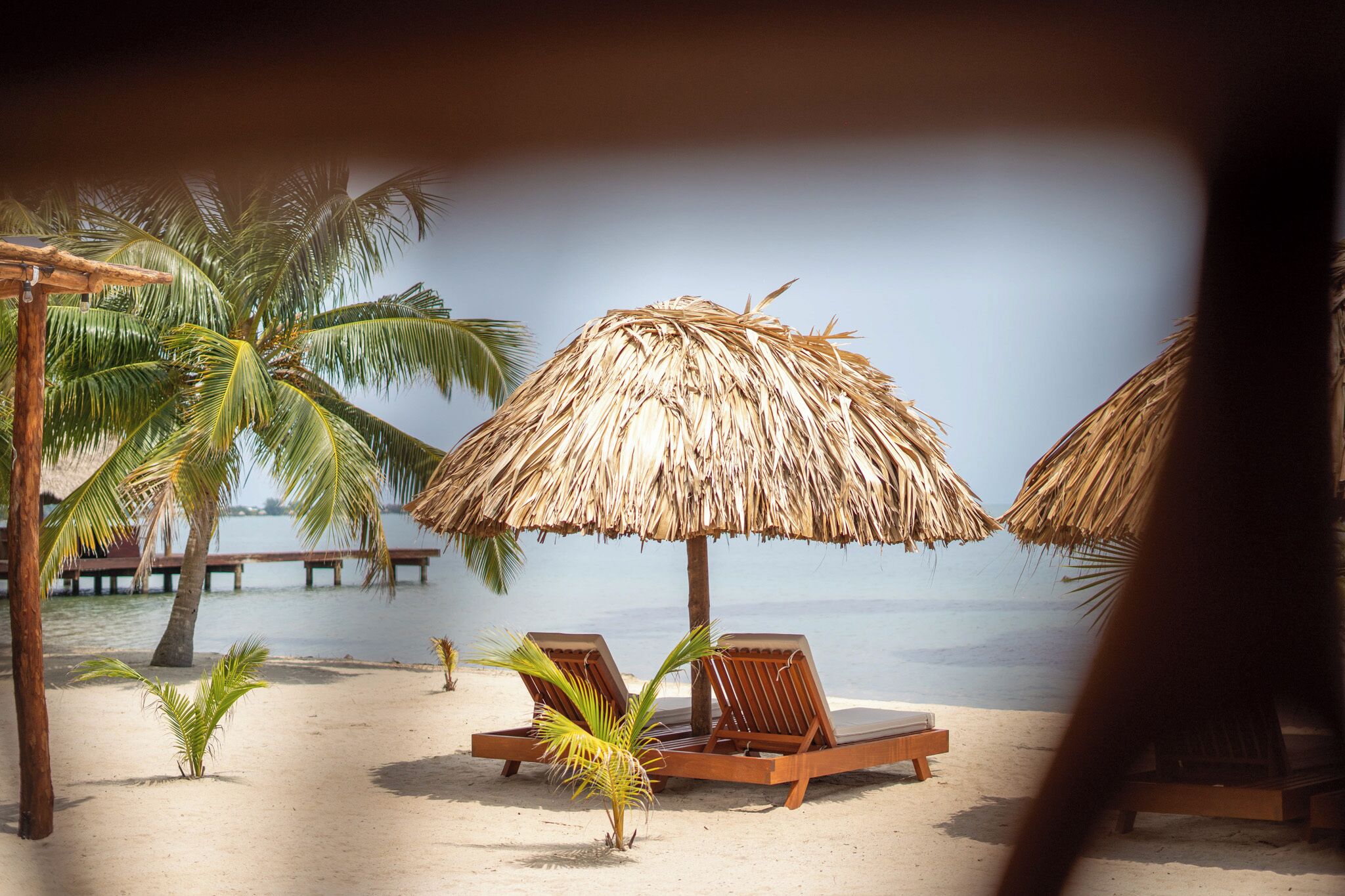 Une plage avec des parasols en chaume, des chaises longues et des palmiers.