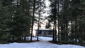 A cabin surrounded by tall evergreen trees with a snow-covered ground leading to it. - Charming vintage lakefront cabin w/ Wifi in BWCA (Ely)