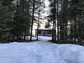 Una baita circondata da alti alberi sempreverdi, con un terreno innevato che conduce alla costruzione.