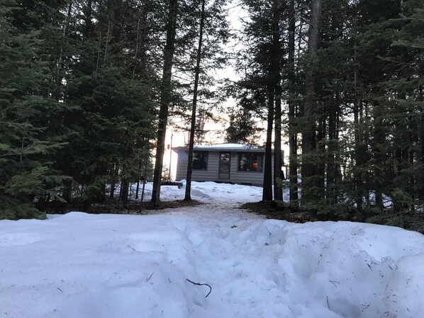 Una cabaña rodeada de altos árboles de hoja perenne con un suelo cubierto de nieve que conduce hasta ella.