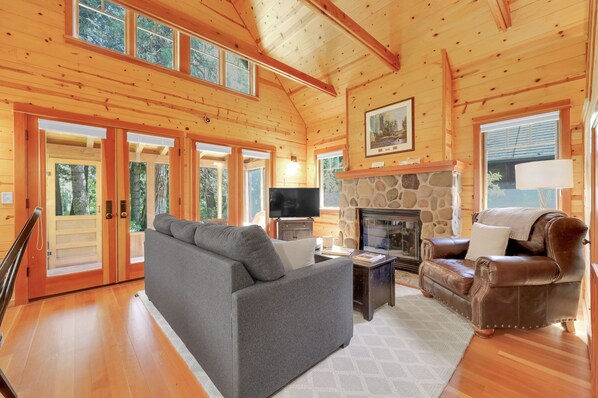 TV connectée, cheminée, lecteur de DVD, livres