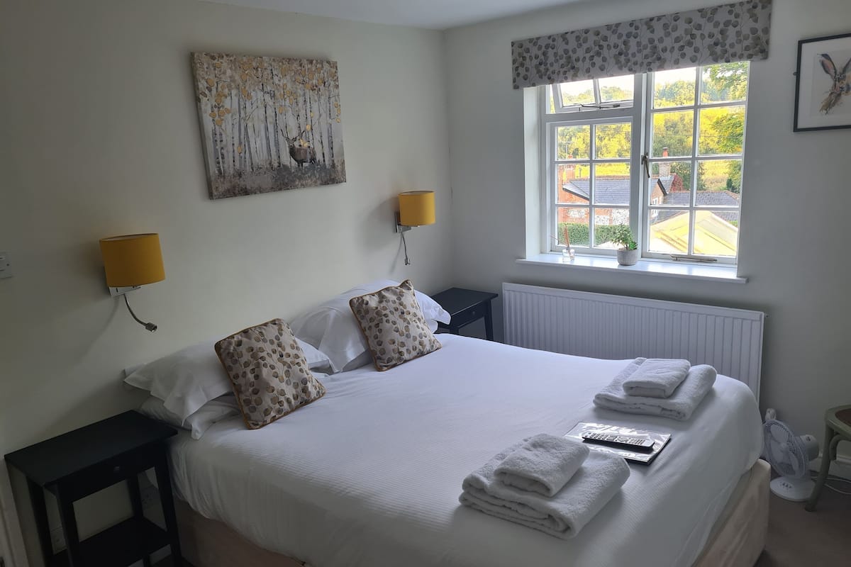 Classic Double Room | Laptop workspace, iron/ironing board (on request), WiFi (free)
