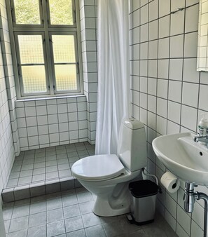 Shower, free toiletries, towels, soap