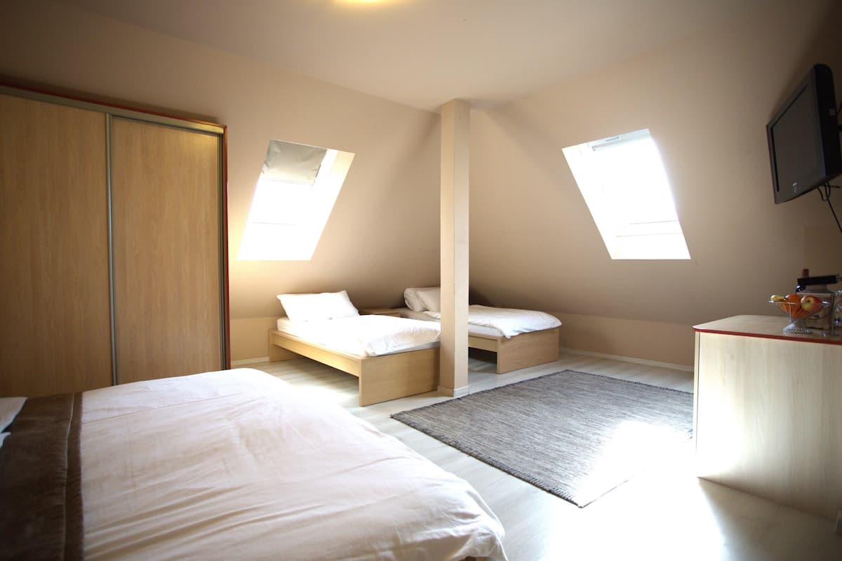 A bedroom with two beds, a desk, and a TV. There are skylights providing natural light.