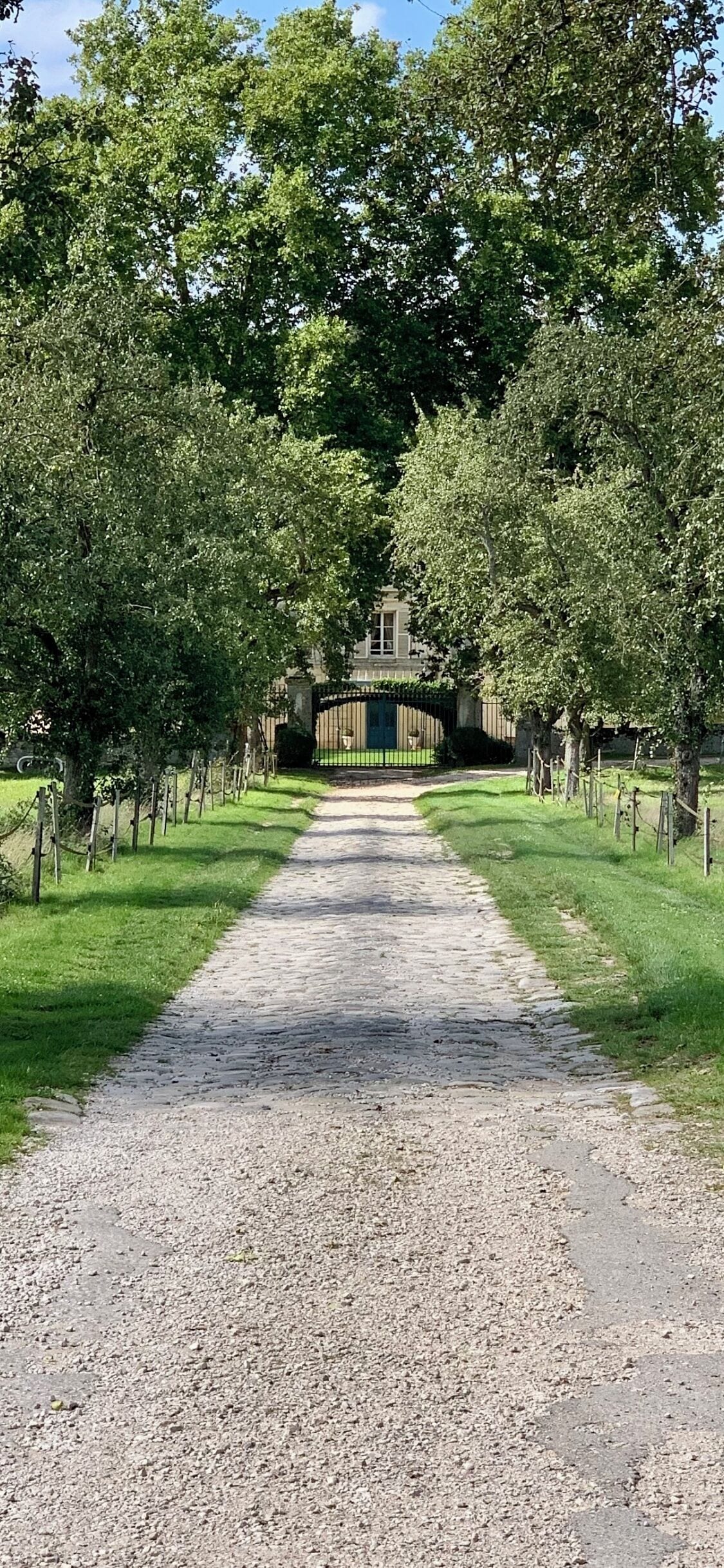 Un sendero de grava conduce a una entrada con portón, rodeada de árboles.