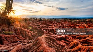 A desert landscape with a prominent cactus and rugged terrain. - Hotel Santander Plaza (Neiva)