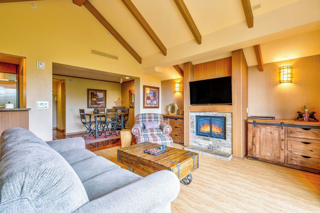 TV, fireplace, printers