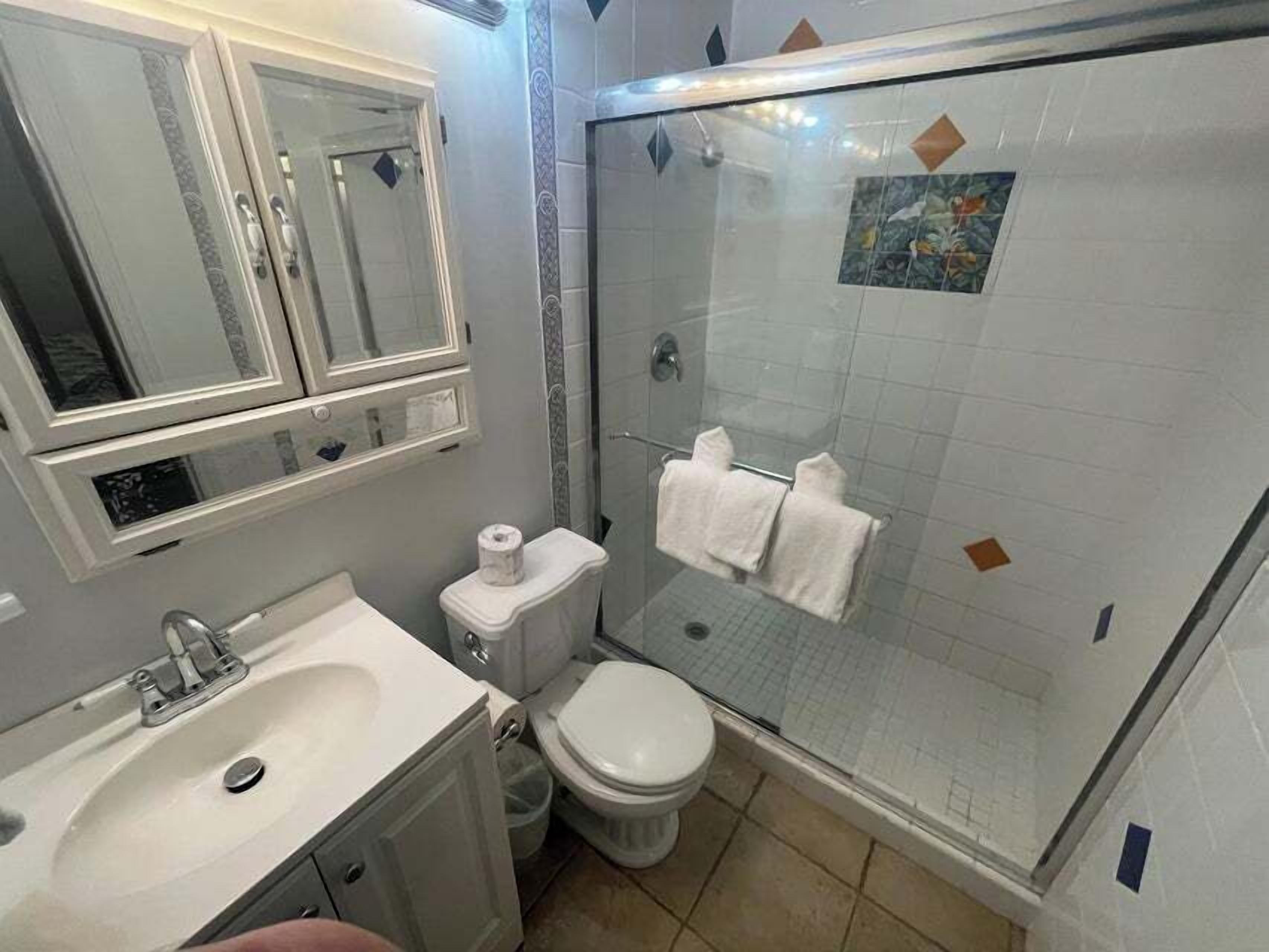 Une salle de bain avec un lavabo, des toilettes et une douche.