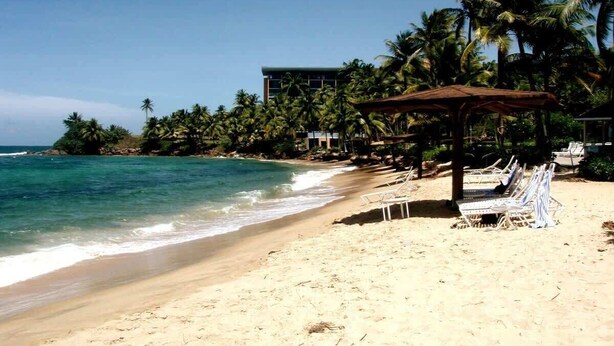 Une plage avec une structure en bois et des chaises longues.