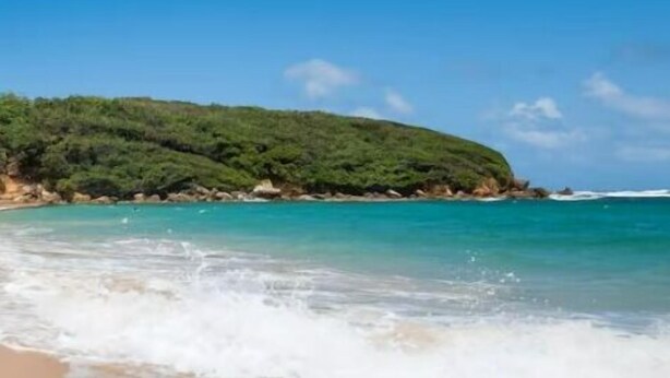 Una playa con agua turquesa cristalina y una colina verde al fondo.