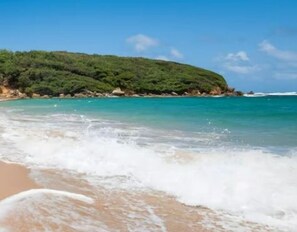 A beach with clear turquoise water, a sandy shore, and a green hill in the background.