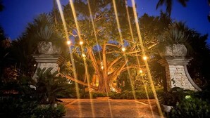 Un árbol grande con luces en su base, rodeado de palmeras y estructuras de piedra.