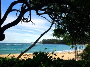 A beach with clear blue water, sandy shore, and lush greenery.
