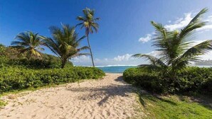 A sandy beach path with palm trees and ocean view. - Giovanni Beachfront community w/pools (Sabana)