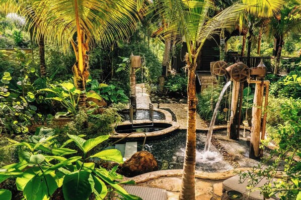 A lush garden with a water feature, including a small pond and a waterfall.