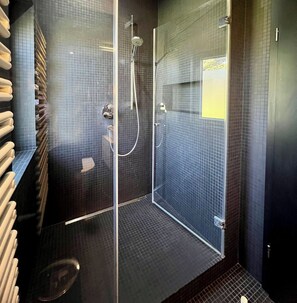 Hair dryer, towels, soap, toilet paper