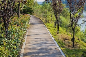 A wooden pathway leading to a body of water, surrounded by greenery. - Wuyishan Wuyi Yard Chinese Inn (Wuyishan)
