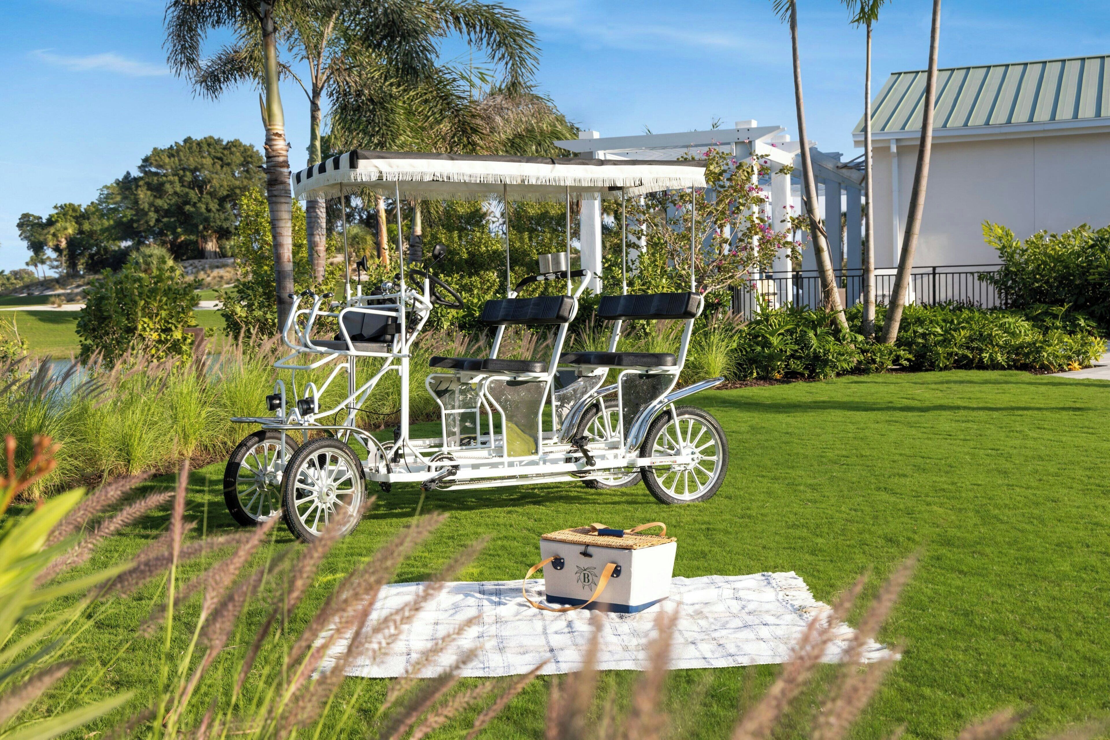 Uma bicicleta branca com toldo, um piquenique completo com caixa térmica, e uma área gramada com palmeiras.