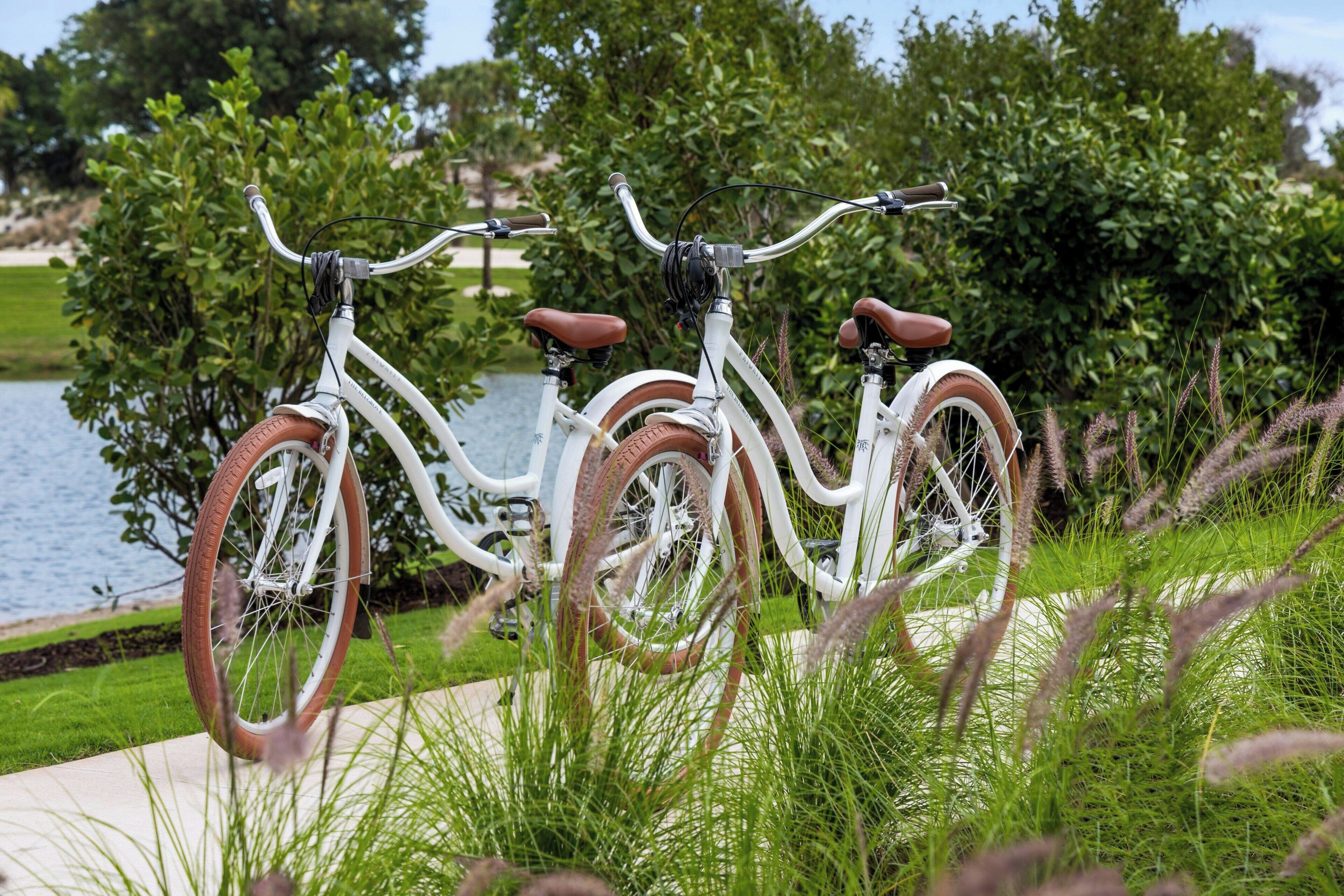 Two bicycles parked on a concrete path with a body of water and greenery in the background.