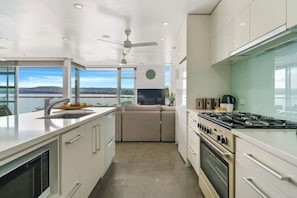 Microwave, oven, stovetop, dishwasher