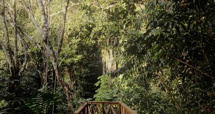 Luxury Eco Jungle View Cabana