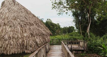 Luxury Eco Boardwalk Cabana in the Beautiful Belizean Rainforest.