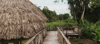 Luxury Eco Boardwalk Cabana in the Beautiful Belizean Rainforest.