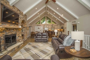 Televisio, takka, videopelejä, kirjoja